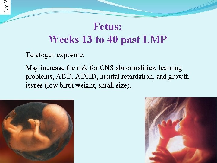 Fetus: Weeks 13 to 40 past LMP Teratogen exposure: May increase the risk for