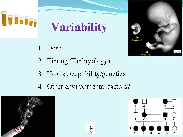 Variability 1. Dose 2. Timing (Embryology) 3. Host susceptibility/genetics 4. Other environmental factors? 