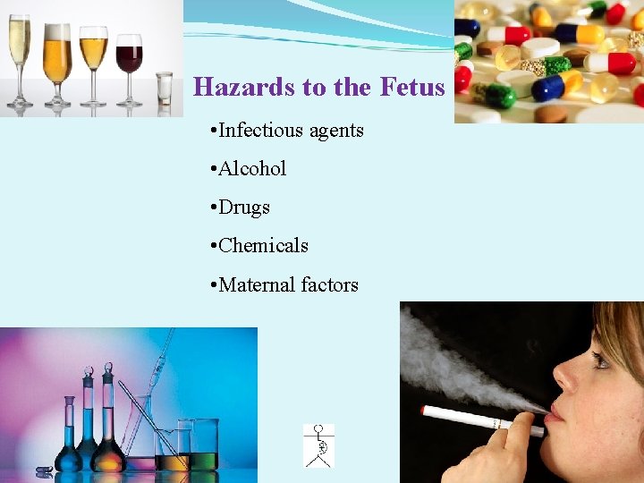 Hazards to the Fetus • Infectious agents • Alcohol • Drugs • Chemicals •