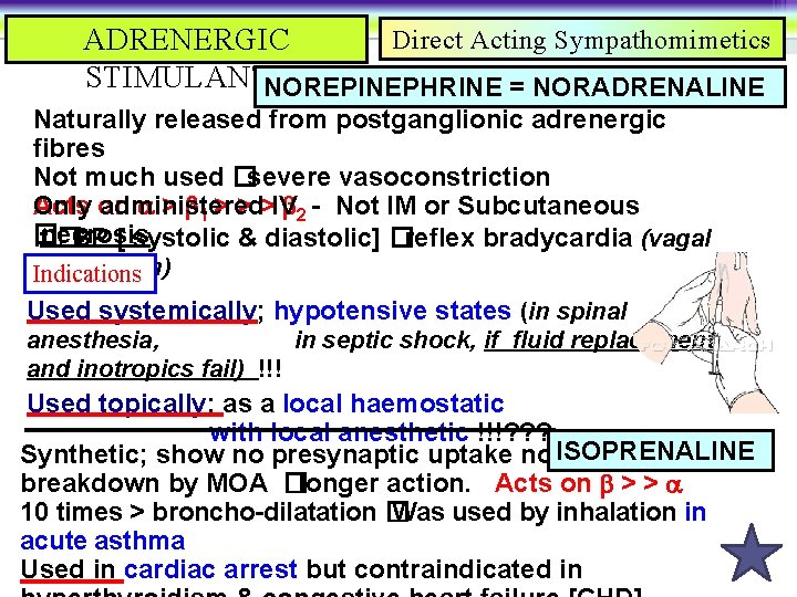 Direct Acting Sympathomimetics ADRENERGIC STIMULANTS NOREPINEPHRINE = NORADRENALINE Naturally released from postganglionic adrenergic fibres