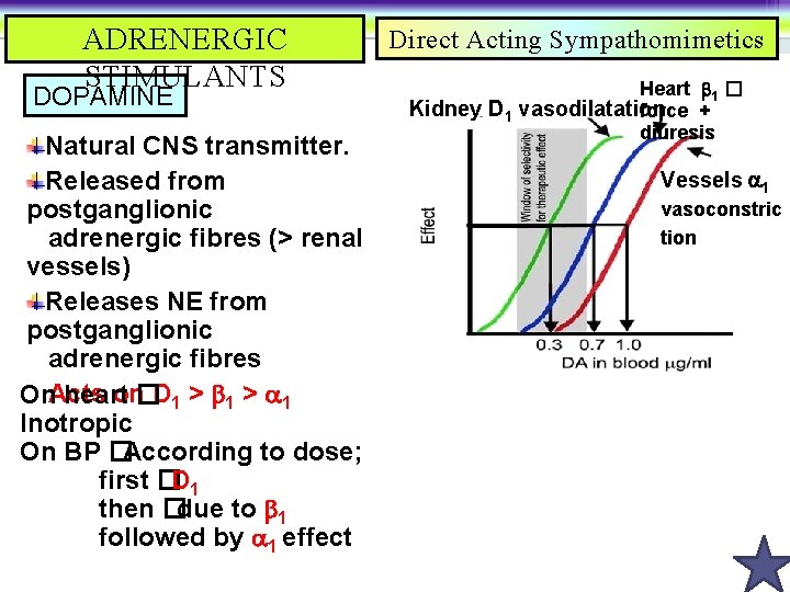 ADRENERGIC STIMULANTS DOPAMINE Natural CNS transmitter. Released from postganglionic adrenergic fibres (> renal vessels)