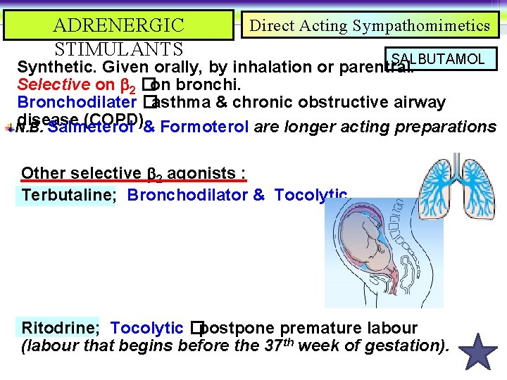 ADRENERGIC STIMULANTS Direct Acting Sympathomimetics SALBUTAMOL Synthetic. Given orally, by inhalation or parentral. Selective