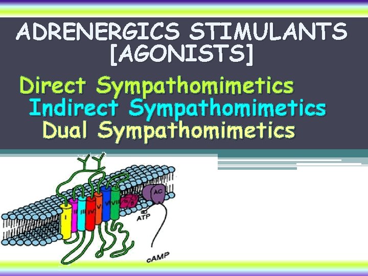 ADRENERGICS STIMULANTS [AGONISTS] Direct Sympathomimetics Indirect Sympathomimetics Dual Sympathomimetics 