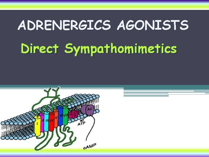 ADRENERGICS AGONISTS Direct Sympathomimetics 