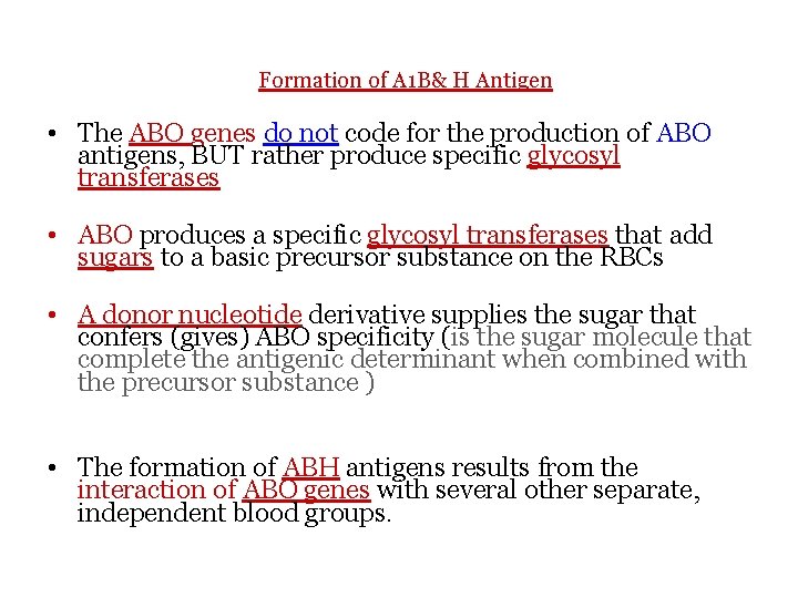 Formation of A 1 B& H Antigen • The ABO genes do not code