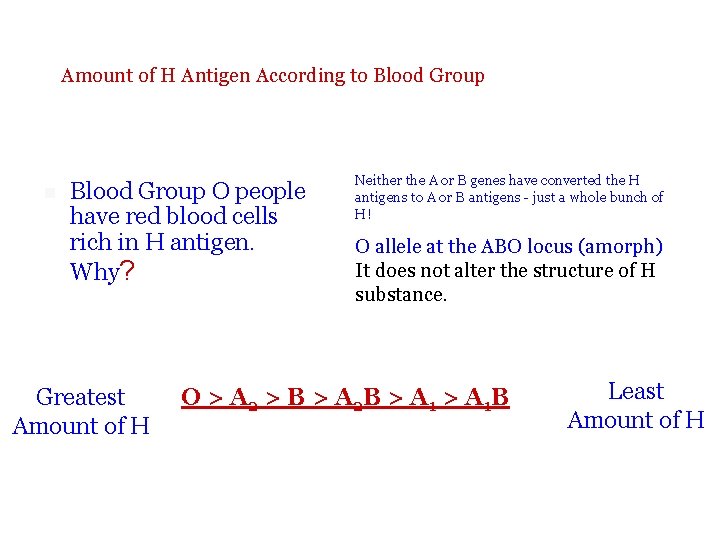 Amount of H Antigen According to Blood Group n Blood Group O people have