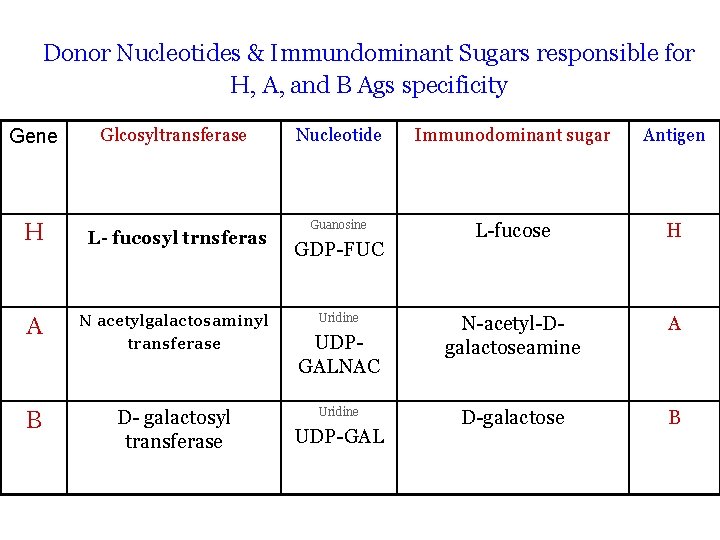 Donor Nucleotides & Immundominant Sugars responsible for H, A, and B Ags specificity Gene