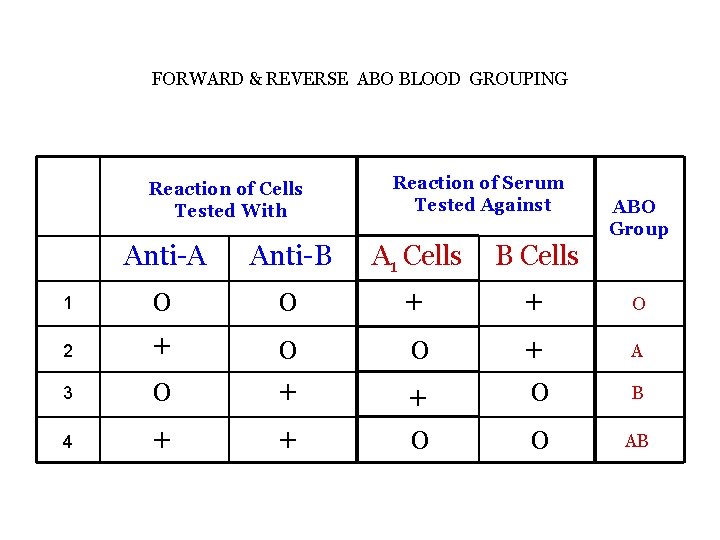 FORWARD & REVERSE ABO BLOOD GROUPING Reaction of Cells Tested With 1 2 3