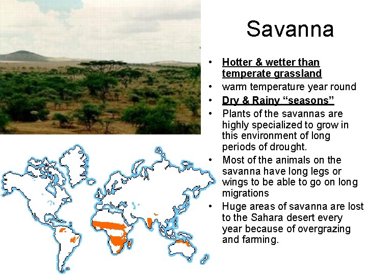 Savanna • Hotter & wetter than temperate grassland • warm temperature year round •