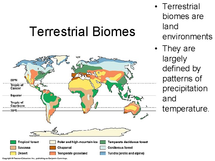 Terrestrial Biomes • Terrestrial biomes are land environments • They are largely defined by