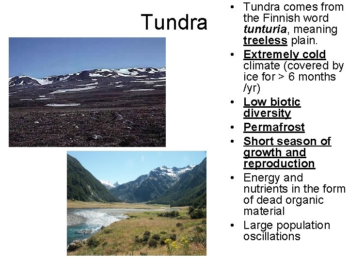 Tundra • Tundra comes from the Finnish word tunturia, meaning treeless plain. • Extremely