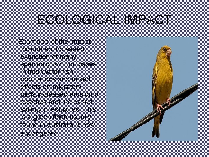 global-warming-and-its-effects-introduction-what-causes