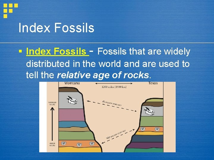 Index Fossils § Index Fossils - Fossils that are widely distributed in the world