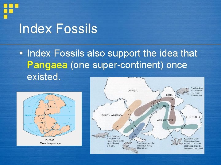 Index Fossils § Index Fossils also support the idea that Pangaea (one super-continent) once