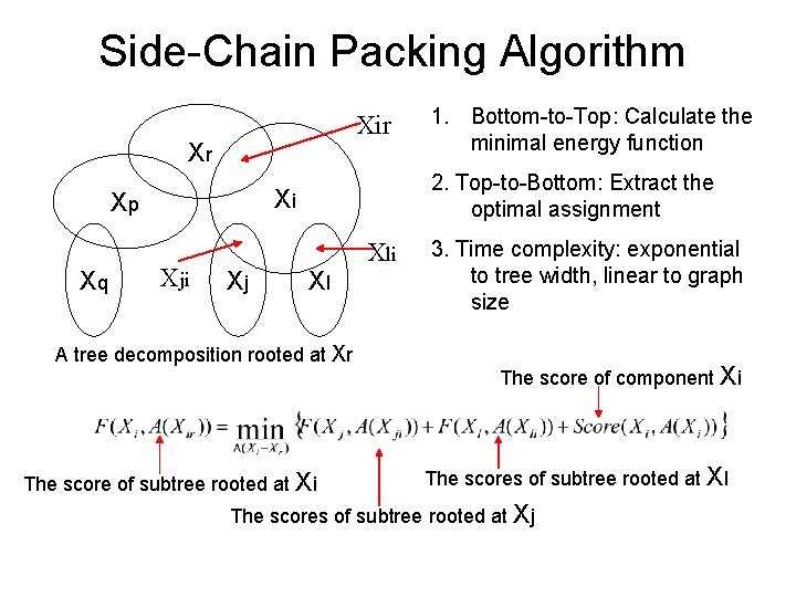 Side-Chain Packing Algorithm Xir Xr Xq 2. Top-to-Bottom: Extract the optimal assignment Xi Xp