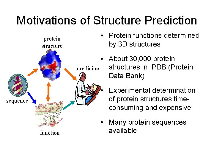 Motivations of Structure Prediction protein structure • Protein functions determined by 3 D structures