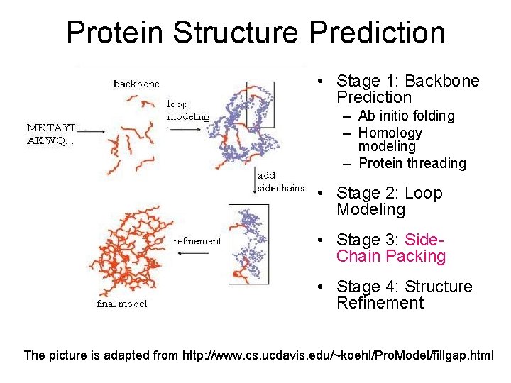 Protein Structure Prediction • Stage 1: Backbone Prediction – Ab initio folding – Homology