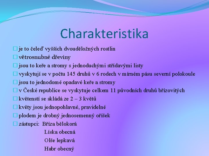 Charakteristika � je to čeleď vyšších dvouděložných rostlin � větrosnubné dřeviny � jsou to Charakteristika � je to čeleď vyšších dvouděložných rostlin � větrosnubné dřeviny � jsou to