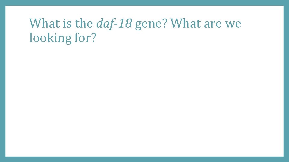 What is the daf-18 gene? What are we looking for? 