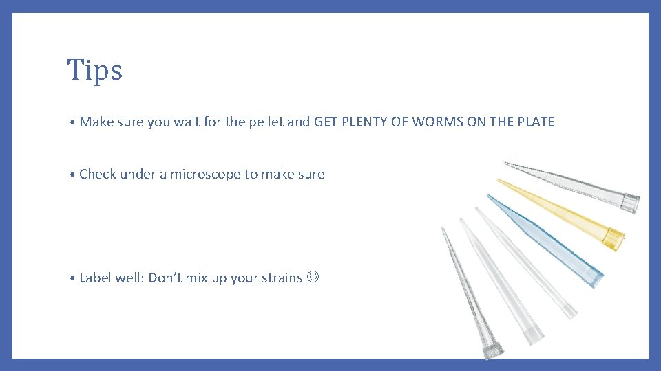 Tips • Make sure you wait for the pellet and GET PLENTY OF WORMS