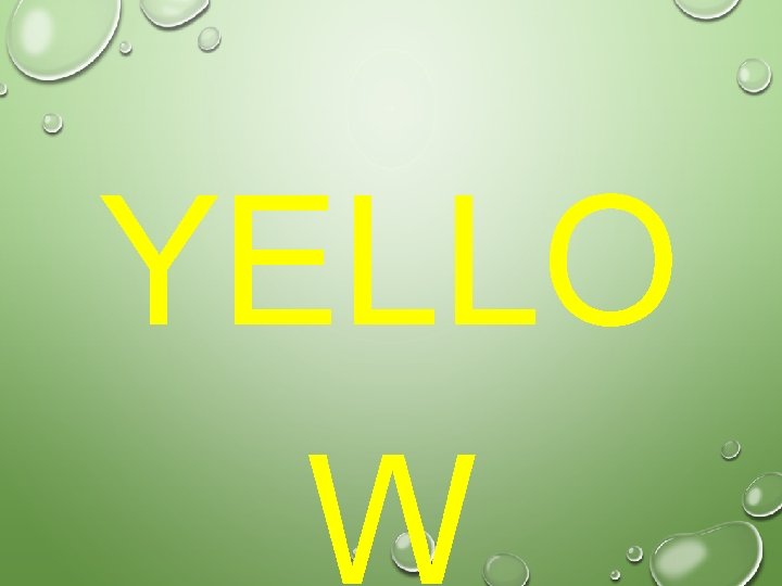 YELLO W 