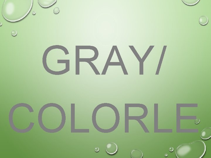 GRAY/ COLORLE 