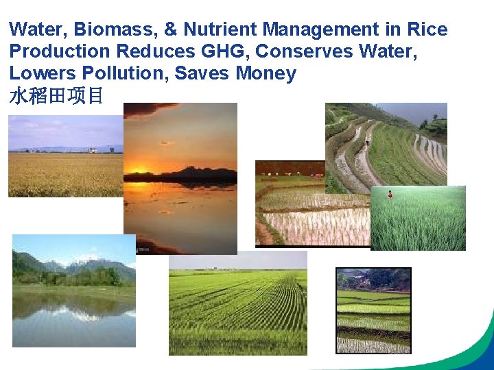 Water, Biomass, & Nutrient Management in Rice Production Reduces GHG, Conserves Water, Lowers Pollution,