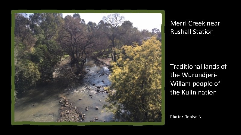 Merri Creek near Rushall Station Traditional lands of the Wurundjeri. Willam people of the