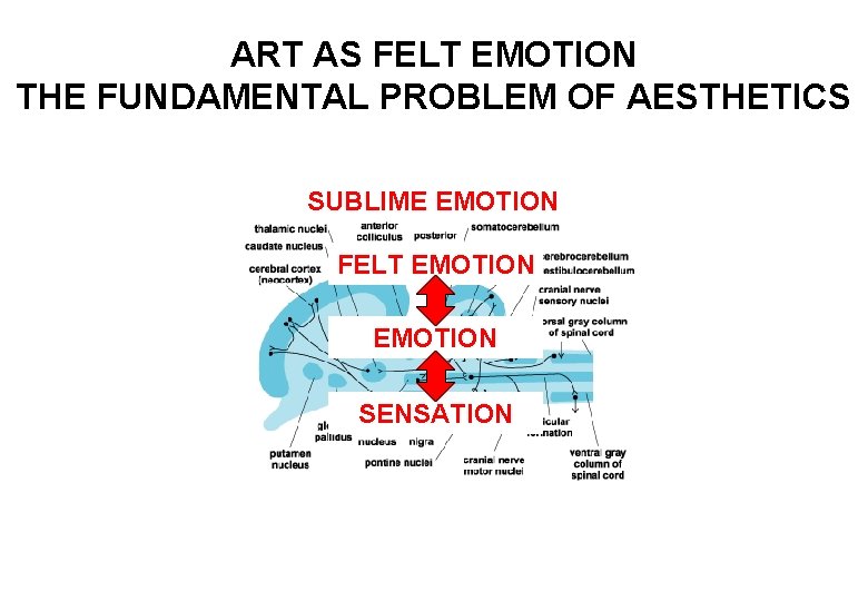 ART AS FELT EMOTION THE FUNDAMENTAL PROBLEM OF AESTHETICS SUBLIME EMOTION FELT EMOTION SENSATION