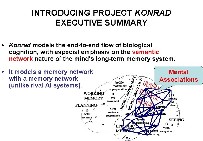 INTRODUCING PROJECT KONRAD EXECUTIVE SUMMARY • Konrad models the end-to-end flow of biological cognition,