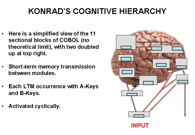 KONRAD’S COGNITIVE HIERARCHY • Here is a simplified view of the 11 sectional blocks