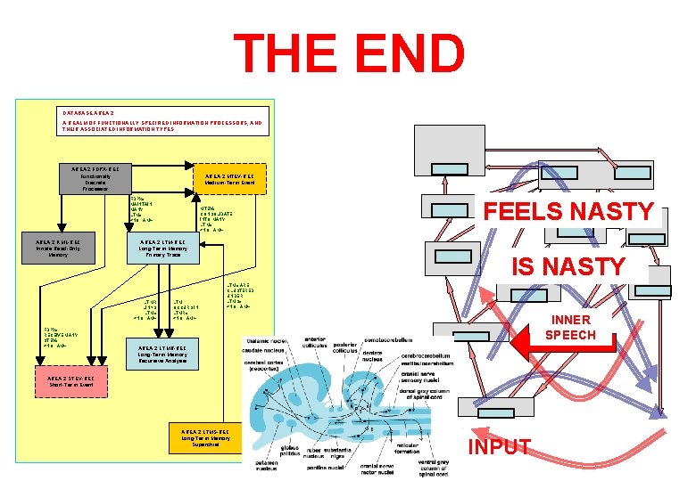 THE END DATABASE AREA 2 A REALM OF FUNCTIONALLY SPECIFIED INFORMATION PROCESSORS, AND THEIR