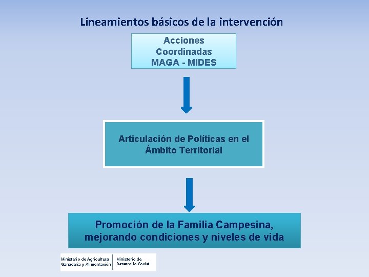Lineamientos básicos de la intervención Acciones Coordinadas MAGA - MIDES Articulación de Políticas en