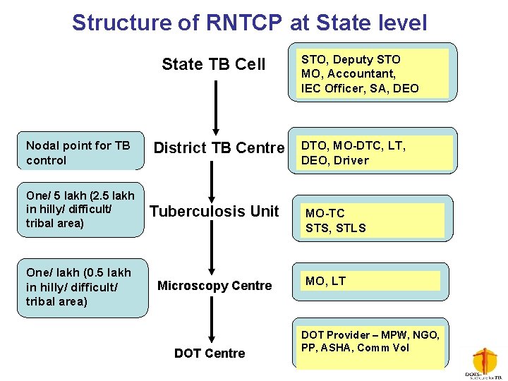 Structure of RNTCP at State level State TB Cell Nodal point for TB control