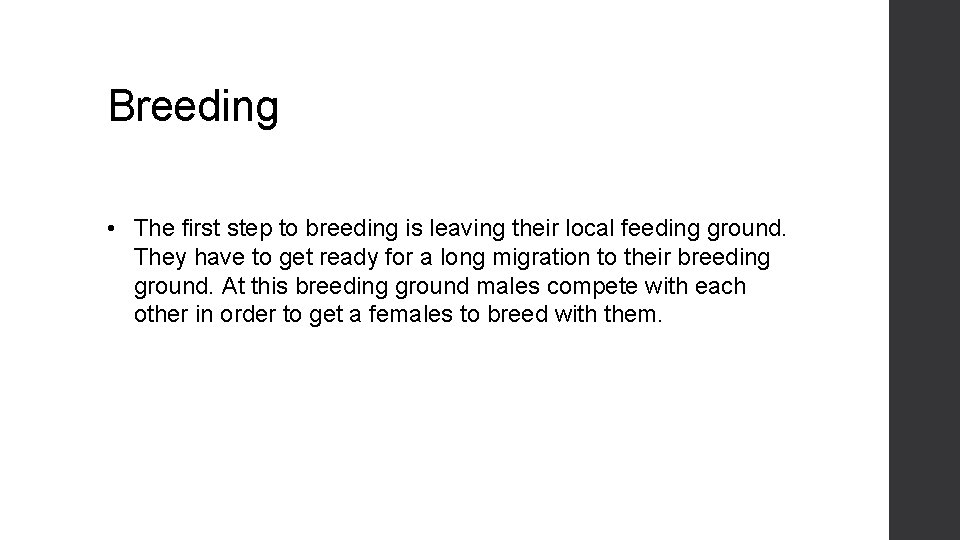 Breeding • The first step to breeding is leaving their local feeding ground. They