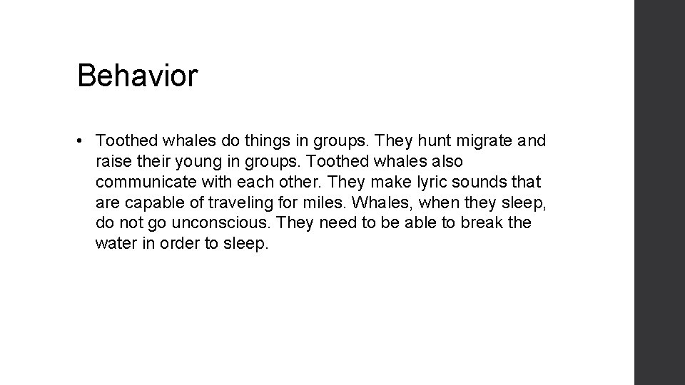 Behavior • Toothed whales do things in groups. They hunt migrate and raise their