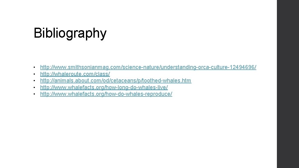 Bibliography • • • http: //www. smithsonianmag. com/science-nature/understanding-orca-culture-12494696/ http: //whaleroute. com/class/ http: //animals. about.