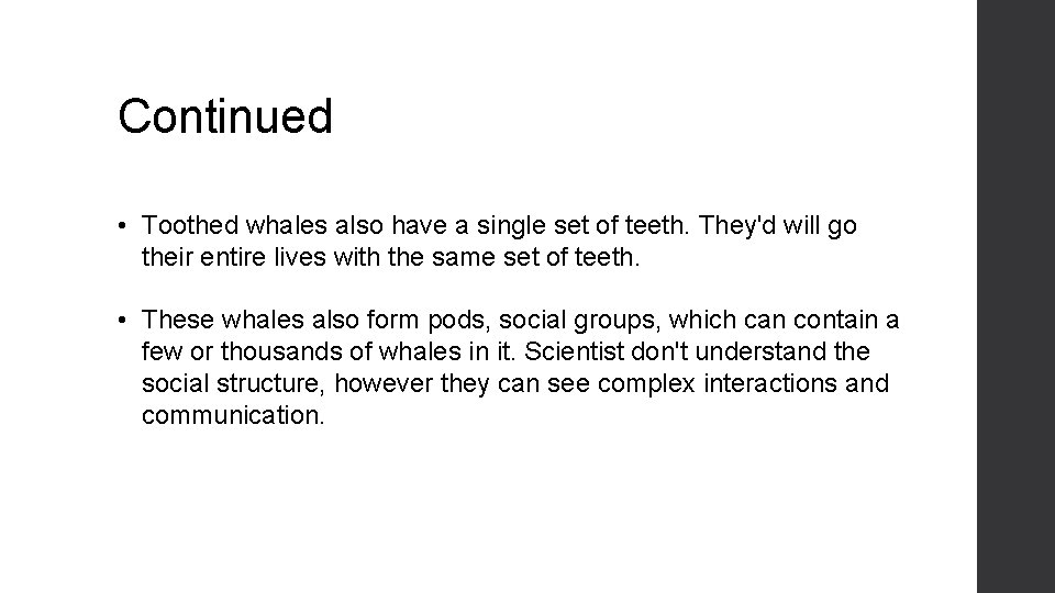 Continued • Toothed whales also have a single set of teeth. They'd will go