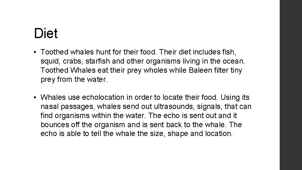 Diet • Toothed whales hunt for their food. Their diet includes fish, squid, crabs,