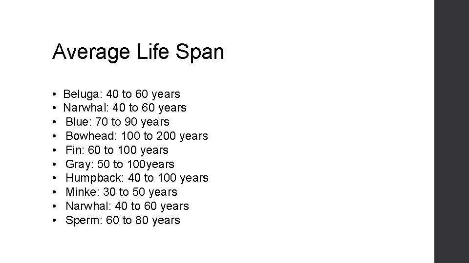 Average Life Span • • • Beluga: 40 to 60 years Narwhal: 40 to
