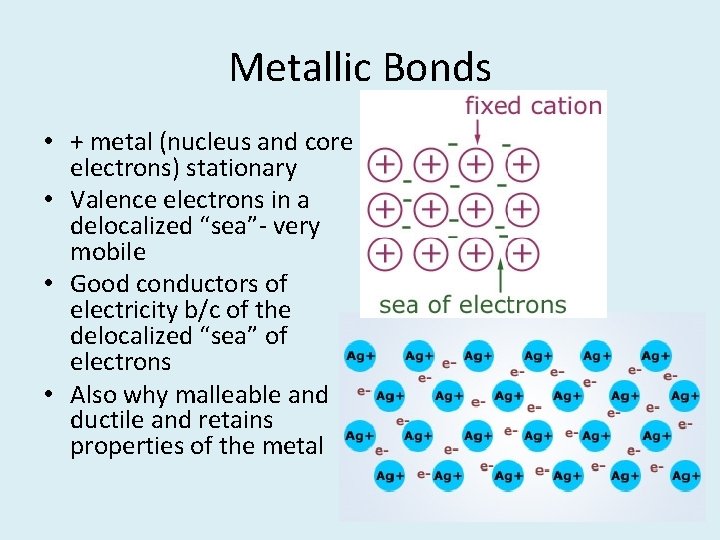 Metallic Bonds • + metal (nucleus and core electrons) stationary • Valence electrons in