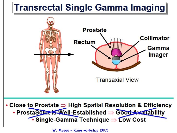 W. Moses – Rome workshop 2005 