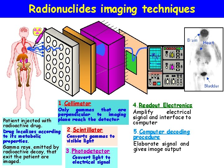 Radionuclides imaging techniques 1. Collimator Only gammas that are perpendicular to imaging plane reach