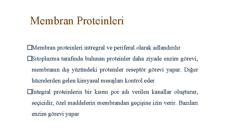 Membran Proteinleri �Membran proteinleri intregral ve periferal olarak adlandırılır �Sitoplazma tarafında bulunan proteinler daha