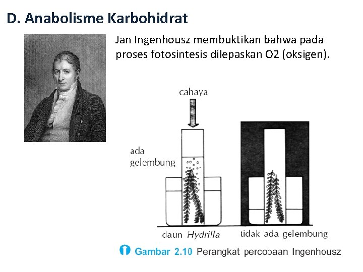 D. Anabolisme Karbohidrat Jan Ingenhousz membuktikan bahwa pada proses fotosintesis dilepaskan O 2 (oksigen).