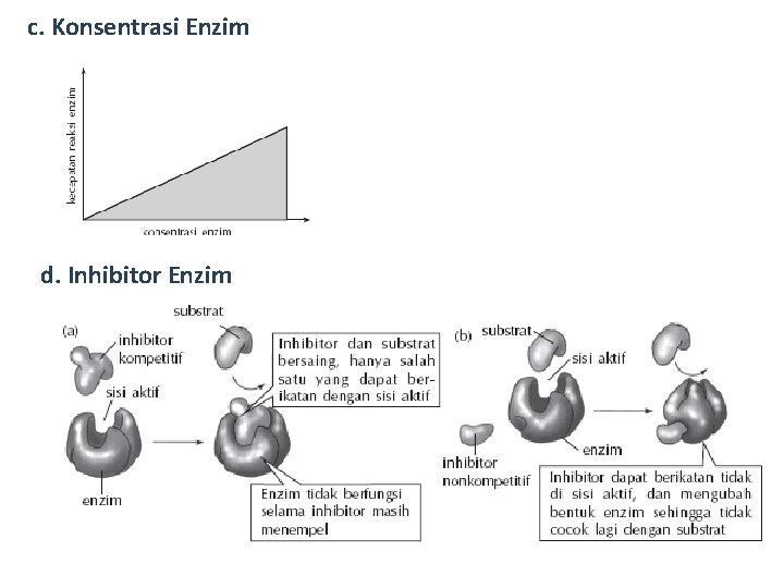 c. Konsentrasi Enzim d. Inhibitor Enzim 