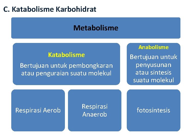 C. Katabolisme Karbohidrat Metabolisme Katabolisme Bertujuan untuk pembongkaran atau penguraian suatu molekul Respirasi Aerob