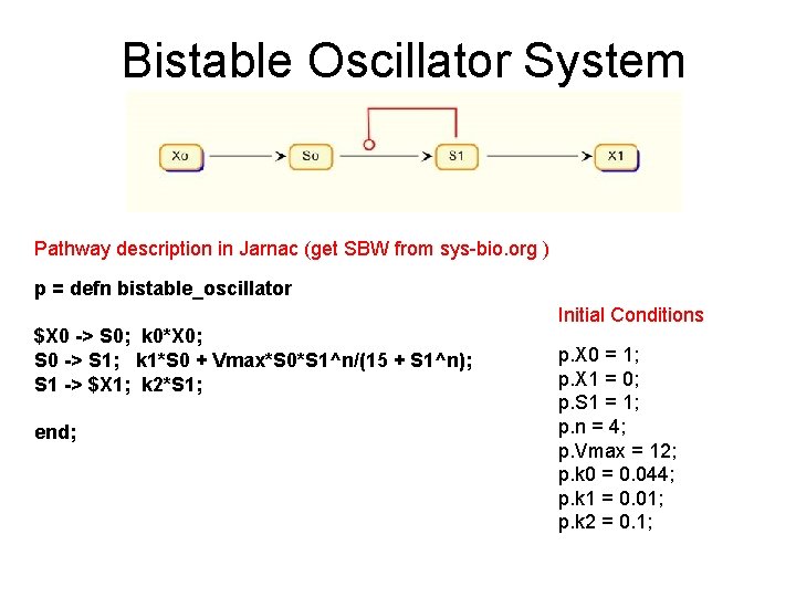 Bistable Oscillator System Pathway description in Jarnac (get SBW from sys-bio. org ) p