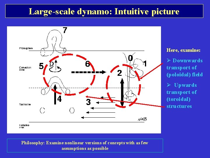 Large-scale dynamo: Intuitive picture Here, examine: Ø Downwards transport of (poloidal) field Ø Upwards Large-scale dynamo: Intuitive picture Here, examine: Ø Downwards transport of (poloidal) field Ø Upwards