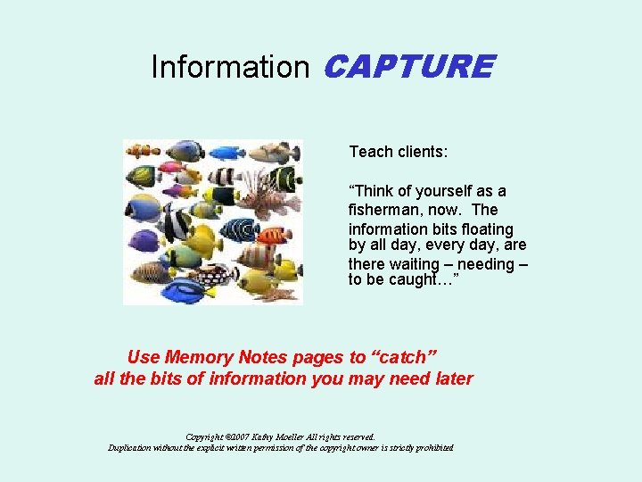 Information CAPTURE Teach clients: “Think of yourself as a fisherman, now. The information bits